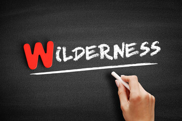 Wilderness text on blackboard, concept background
