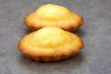 madeleine isolé sur un fond gris