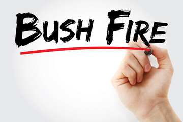 Bush Fire text with marker, concept background