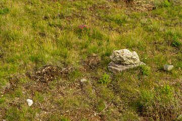 Rocks in Bucegi Mountains,  Bucegi National Park,  Romania