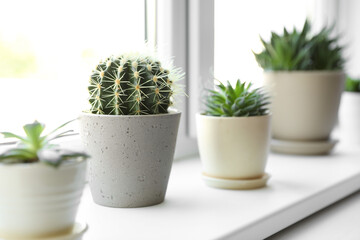 Beautiful different cacti in pots on windowsill indoors