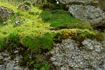 Rocks in Bucegi Mountains,  Bucegi National Park,  Romania