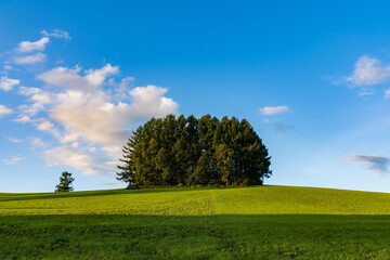 美英 もう一つのマイルドセブンの丘