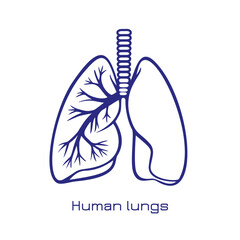 Stylized human lungs. Minimalist design logo of human lungs. Vector illustration.
