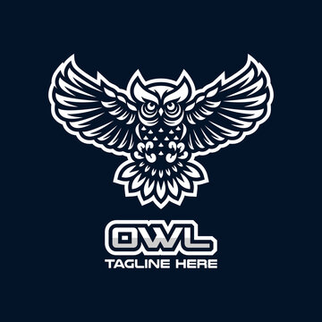 Modern owl bird mascot logo