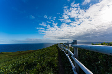 礼文島　灯台　桃岩展望台コース　トレッキング