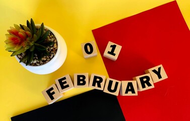 February 1 on wooden cubes .Next to it is a pot with a cactus on a multicolored background.Calendar...