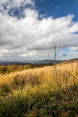 Obraz premium Autumn in the mountains. Bieszczady. Wielka Rawka Mountain Range