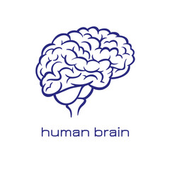 02_Nieren_Gehirn_darm