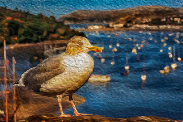 Detail of a great black-backed gull with sailboats in the background at the Conwy Bay Harbor. A historic town with well preserved medieval castle in the north of Wales. Oil paint filter.