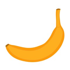 Banana hand drawn illustration. Vector isolated element on white background. Isolated icons. Yellow tropical fruit