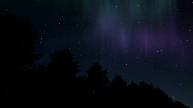 Aurora Northern lights winter forest on Starry sky 4k