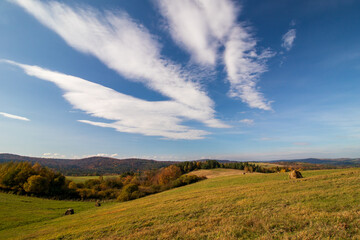 landscape with grass and sky