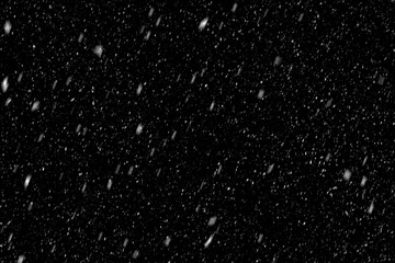 Snow overlay effect on the black background.