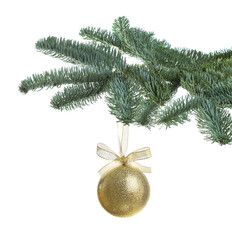Beautiful Christmas ball hanging on fir tree branch against white background