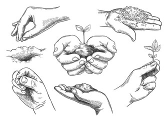 Hands with plant sprout. Farmer hand holding soil and planting seeds. Save nature, grow new trees. Agriculture and ecology sketch vector set - obrazy, fototapety, plakaty
