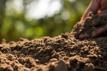 Manure or cow manure for cultivation and agriculture.