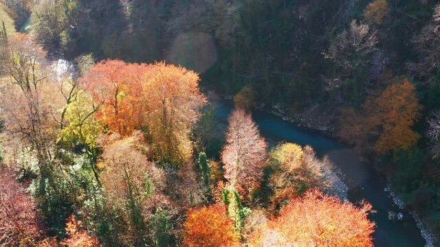Khosta river at autumn. Flight over the river of Khosta in Caucasus Mountains during autumn sunny day. Yew and Boxwood Grove in Russia