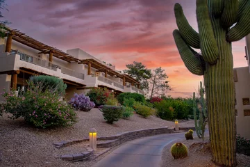 Tuinposter arizona resort with cactus and sunset © jdross75