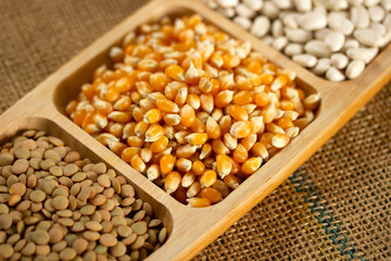 Healthy foods. White beans, dried corn and green lentils in the plate.