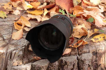 Yellow leaves and camera lens
