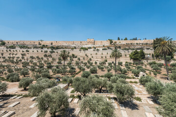 Fototapeta na wymiar The Kidron Valley, separating the Temple Mount from the Mount of Olives in Jerusalem, with Jewish graveyard and olive trees, and background of golden gate and wall of the Old City