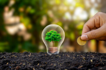 Trees grow on money heaps in light bulbs.Energy saving and environmental ideas on Earth Day.