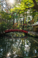 静岡県 小國神社の池にかかる赤い橋と社