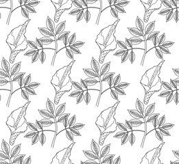 Amorphophallus konjac plant seamless pattern hand drawing outline line style. Konjak repeating texture, endless background. Vector illustration