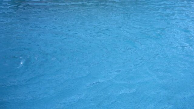The water swirling on the surface of a swimming pool