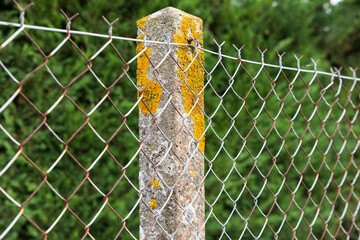 Grillage galvanisé simple torsion