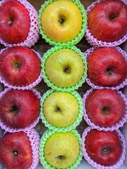 りんご　ギフト