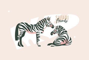 Hand drawn vector stock abstract flat graphic illustration with African wild zebra in the wild or zoo collection set,cartoon animal design isolated on white background