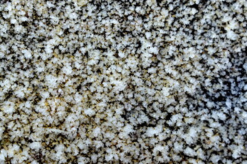 frost on the wall surface