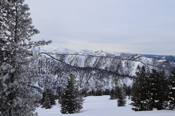 Russian winter. The hamardaban mountain range. Altitude 2000m.
