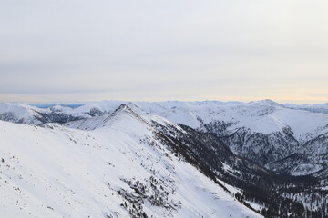 Fototapeta na wymiar Russian winter. The hamardaban mountain range. Altitude 2000m. 