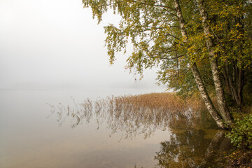 Fototapety  Beautiful fog clad natural lake surrounded by trees and forest in hilly landscape