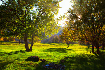 Perfect place for picnic on the green meadow 