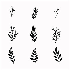winter plants and botanical elements set. cute hand drawn illustrations , simple black and white isolated vectors for graphic design projects