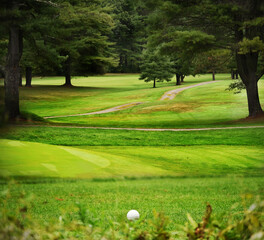Golf ball on the green grass of the golf course and trees in the background.

