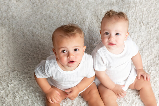 twin boys sitter. twin brothers at the age of one year old