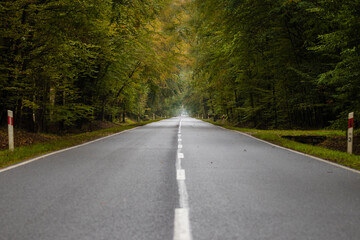 Fototapeta Prosta droga przez las gdzieś daleko w Polsce w Dolina Baryczy obraz