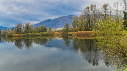 Fototapeta na wymiar Veduta del lago nella palude, in autunno, con suggestivi alberi colorati di giallo