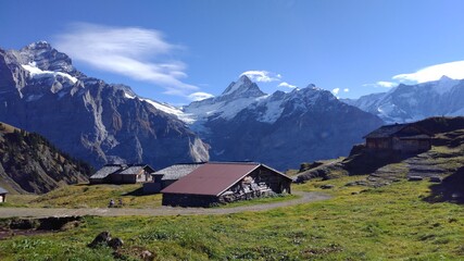 Fototapeta na wymiar swiss Alps