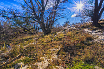 Fitz Roy mount in Los Glaciares National Park, El Chalten,Patagonia, Argentina