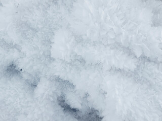 Fototapeta na wymiar The snow texture. Snowflakes. Frozen water crystals. Needle relief. Frost. Fluffy cover. Winter mood.