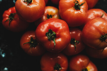 Tomate fresco de ensalada. 