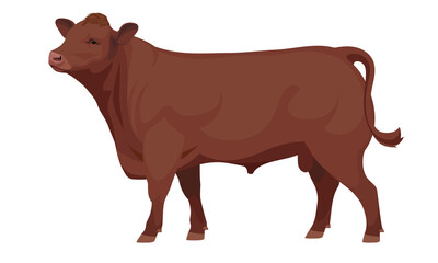 Farm animal - Red Brown Bull. Aberdeen Angus - The Best Beef Cattle Breeds. Vector Illustration.