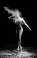Naklejka na ściany i meble A beautiful slender ballet dancer girl wearing a bodysuit and pointe shoes, posing dancing among the clouds of flying flour on a black background. Artistic, commercial, monochrome design
