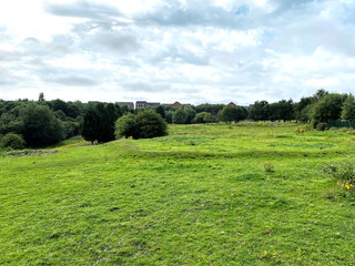Large meadow, with wild plants, and distant trees, on the outskirts of, Leeds, Yorkshire, UK